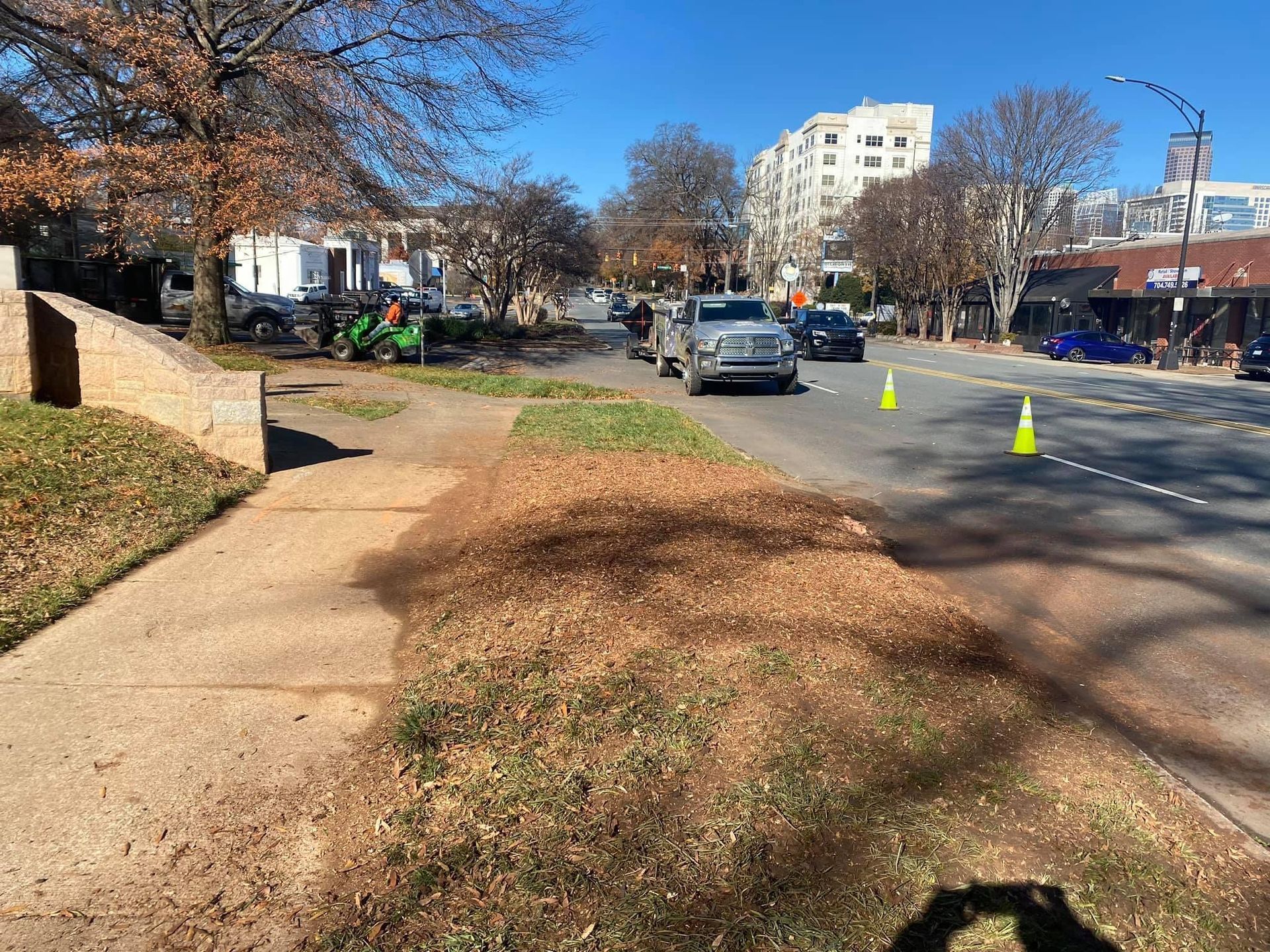 residential tree care polkton nc
