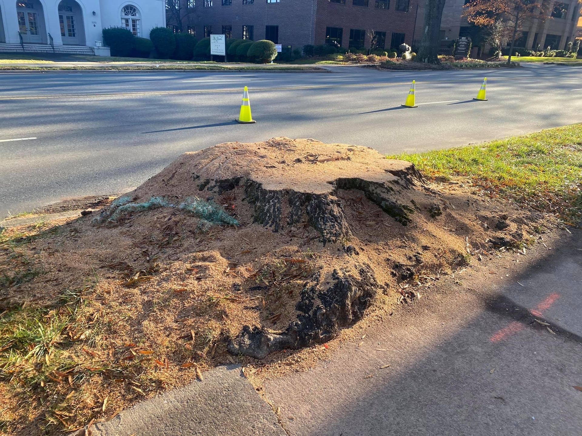 residential tree care polkton nc
