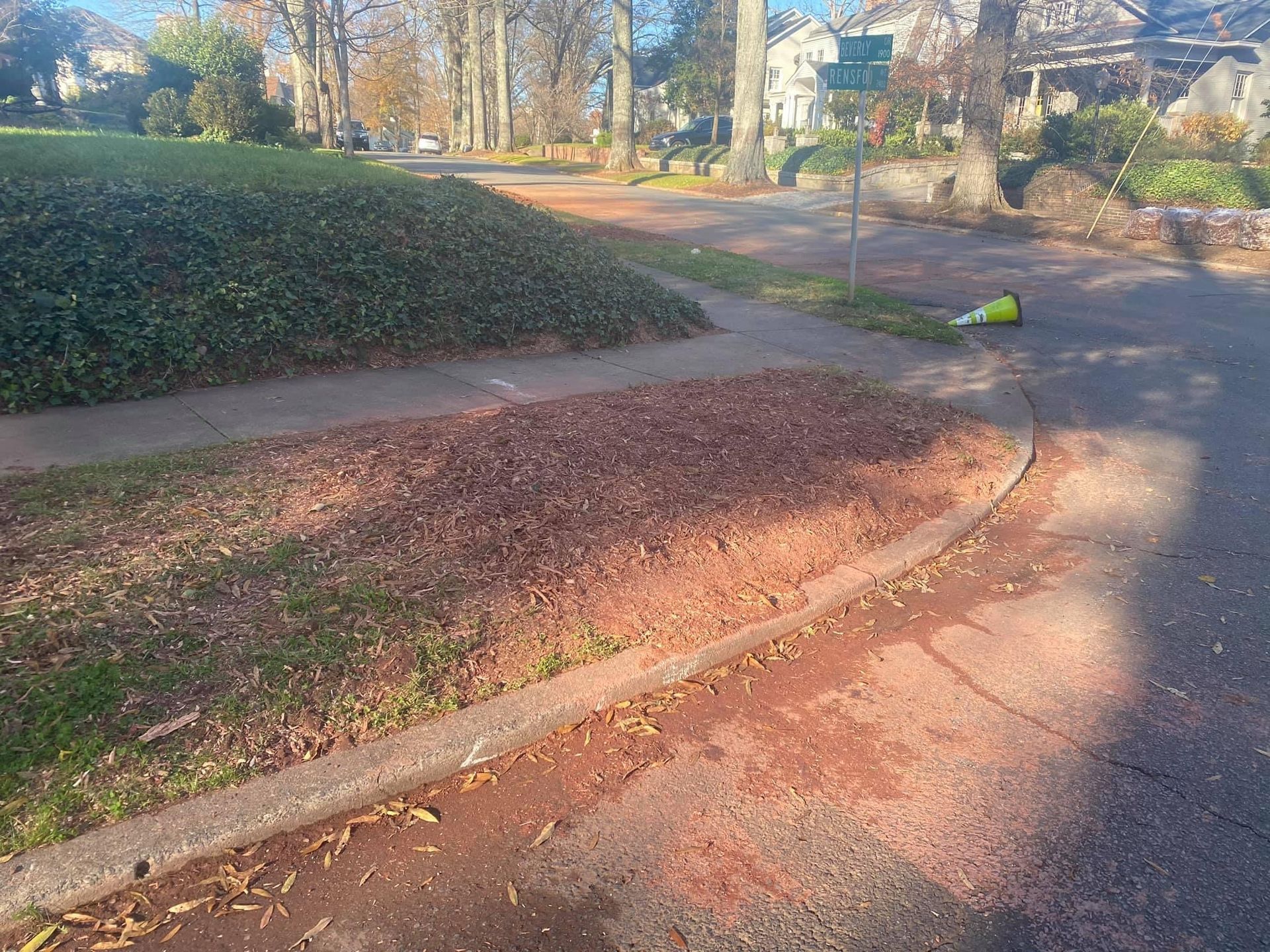 stump grinding polkton nc
