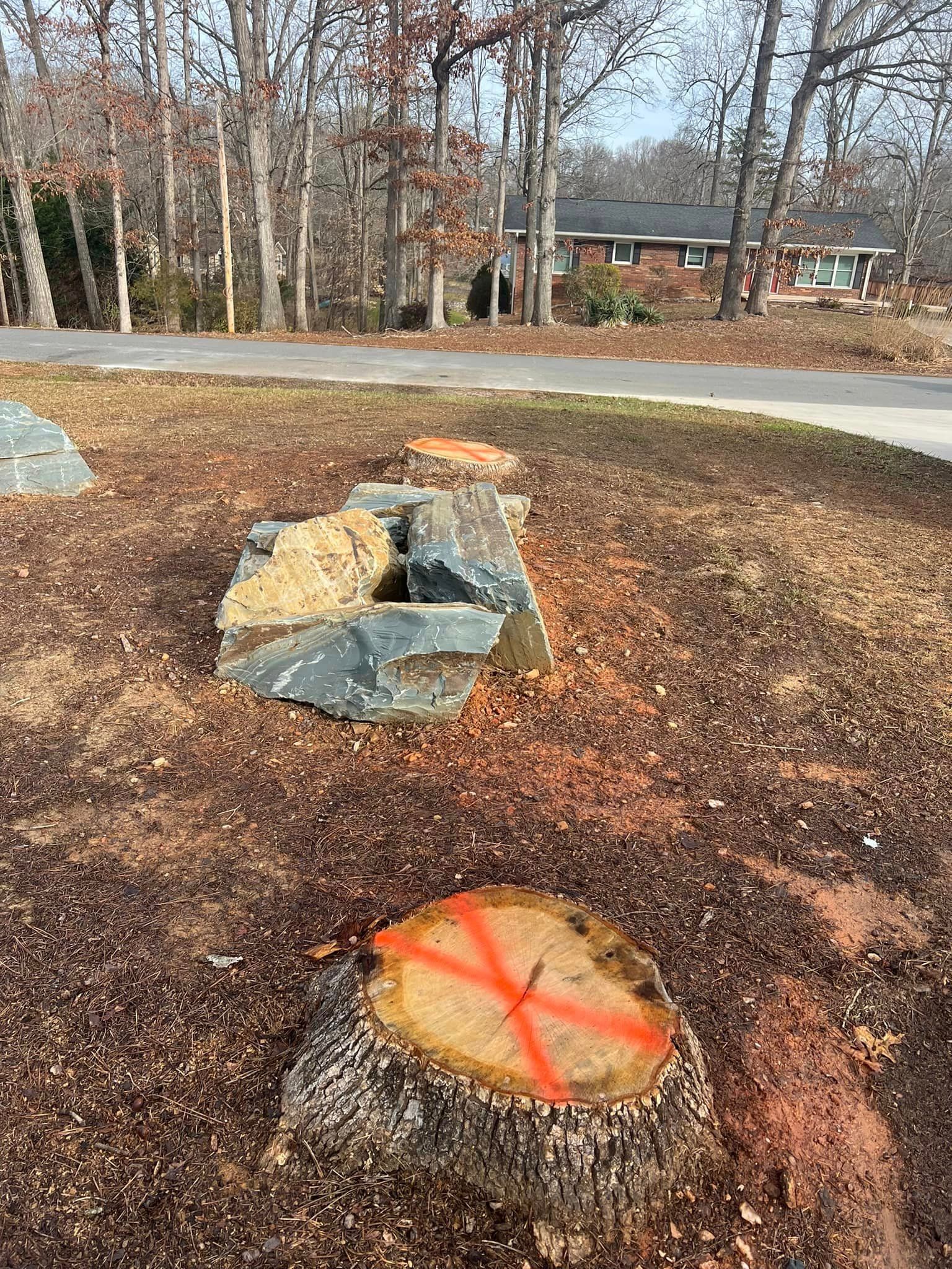 storm damage tree removal polkton nc