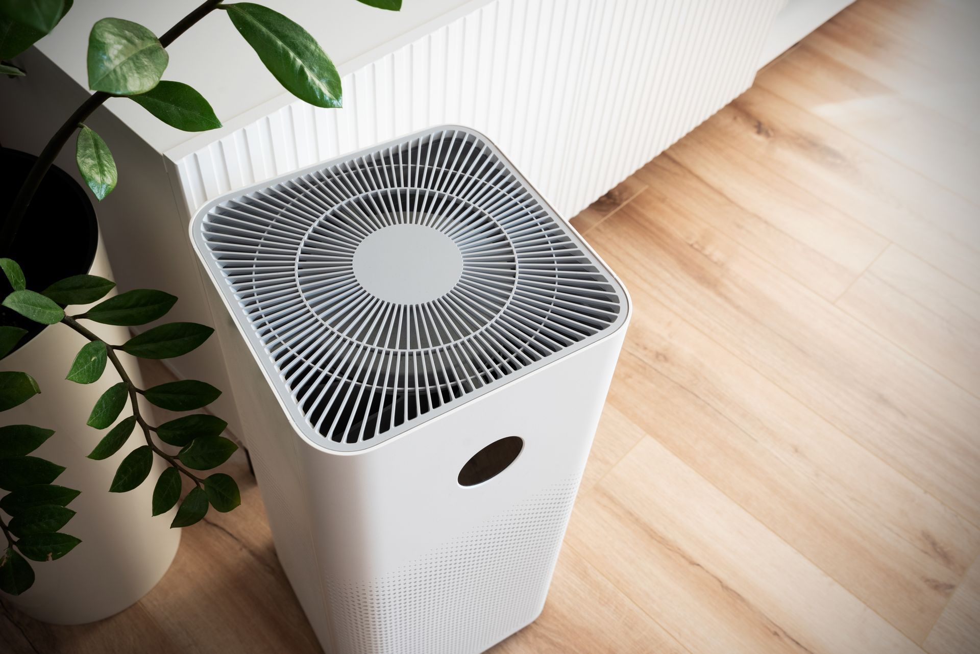 A white air purifier stands on a light-colored wooden floor next to a green potted plant.