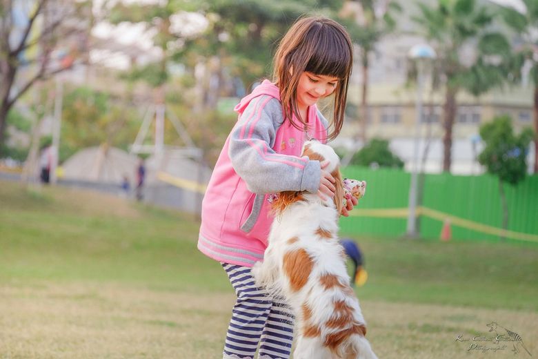 Child in pink jacket plays with a spotted dog in a park, smiling.
