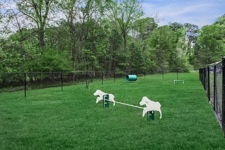 Dog park with agility equipment, surrounded by trees and a black fence.