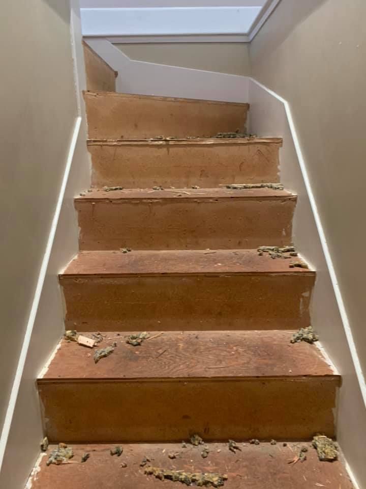 A set of wooden stairs with a white railing in a room.