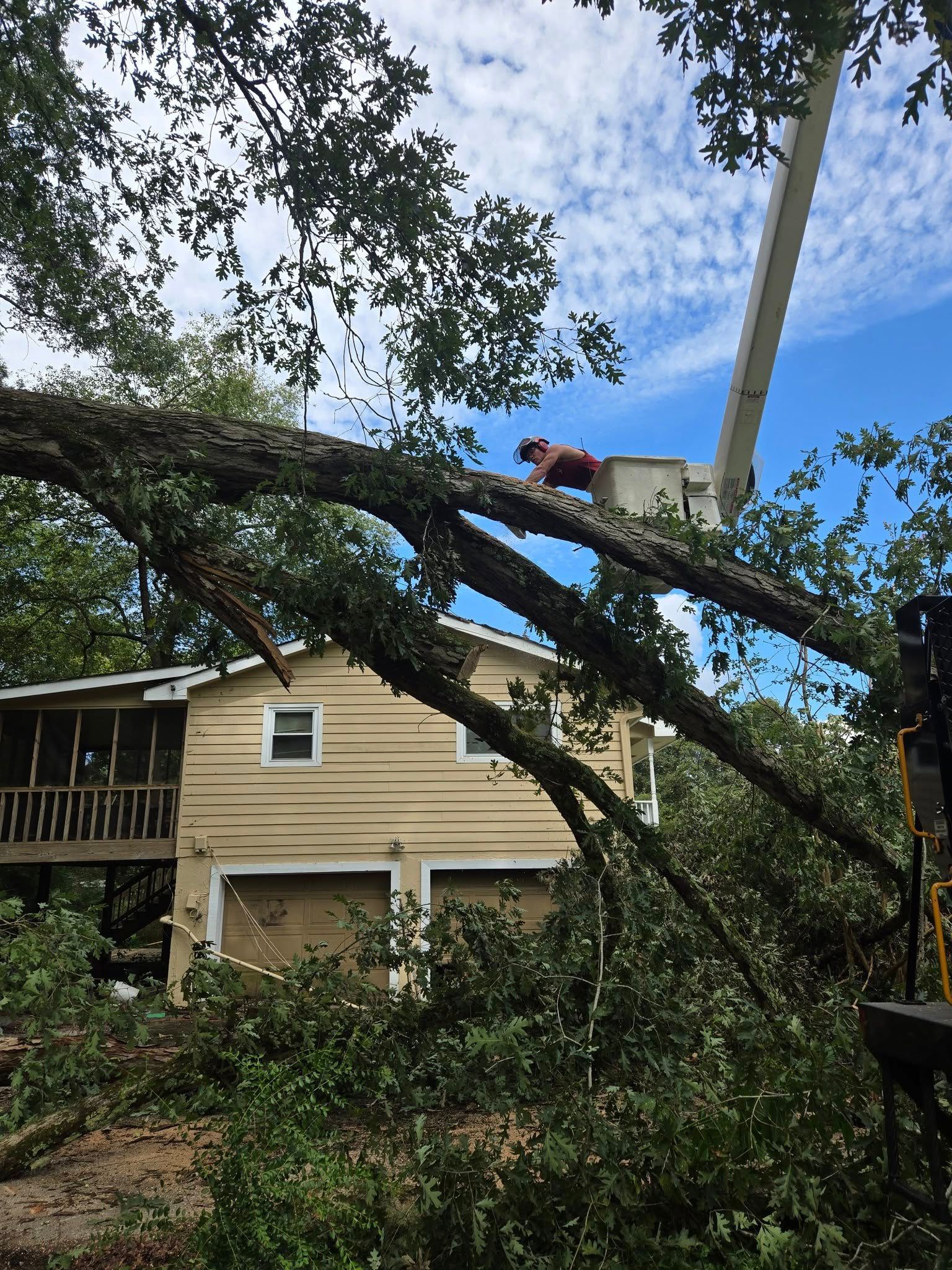 Large fallen tree limbs overhang a beige house with a damaged roof in a stormy yard.