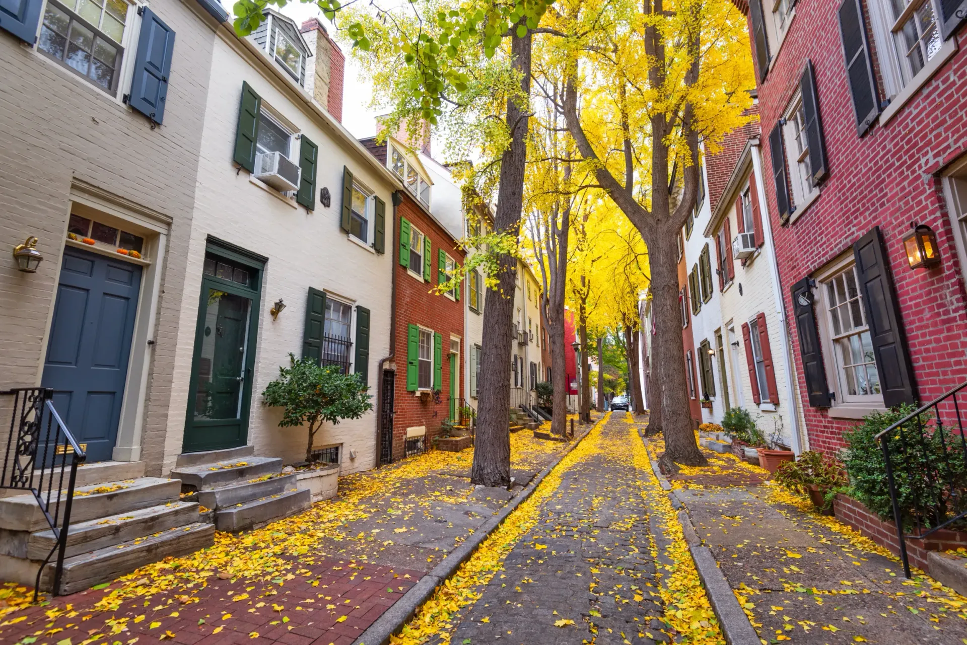 A row of houses on a narrow street with yellow leaves on the sidewalk.