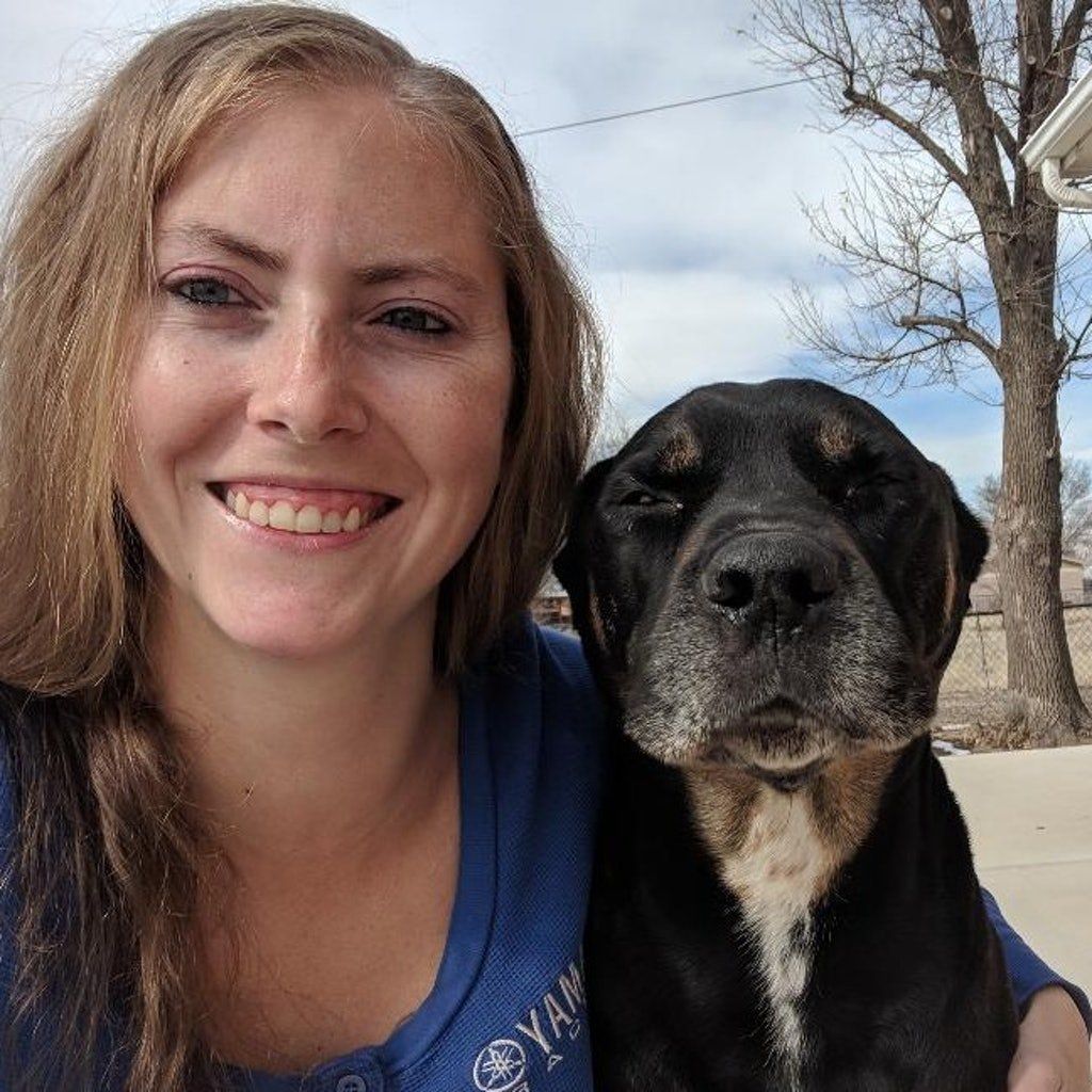 Pet Sitter — Brittany with a Dog in Pueblo, CO