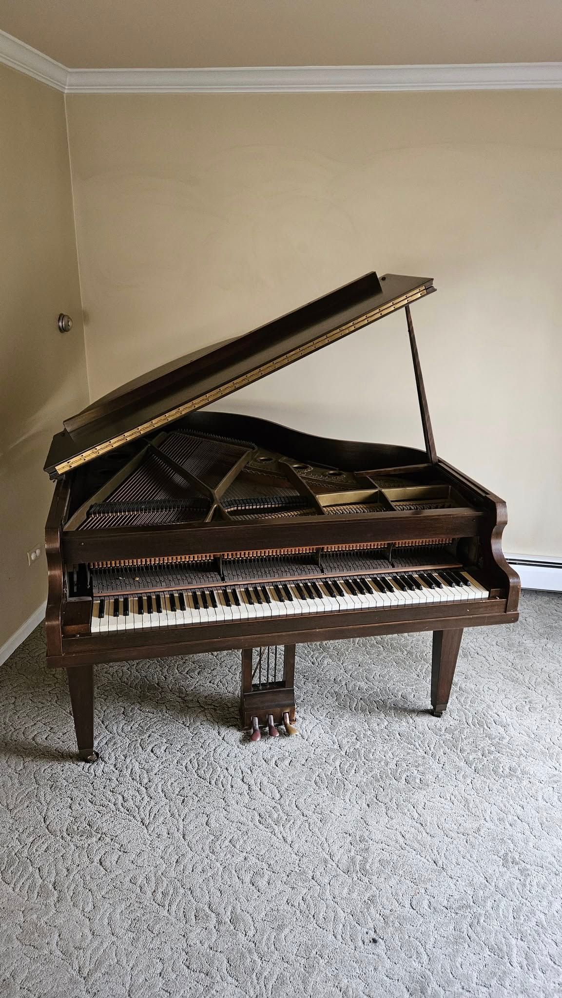 A grand piano is sitting on a carpeted floor in a room.
