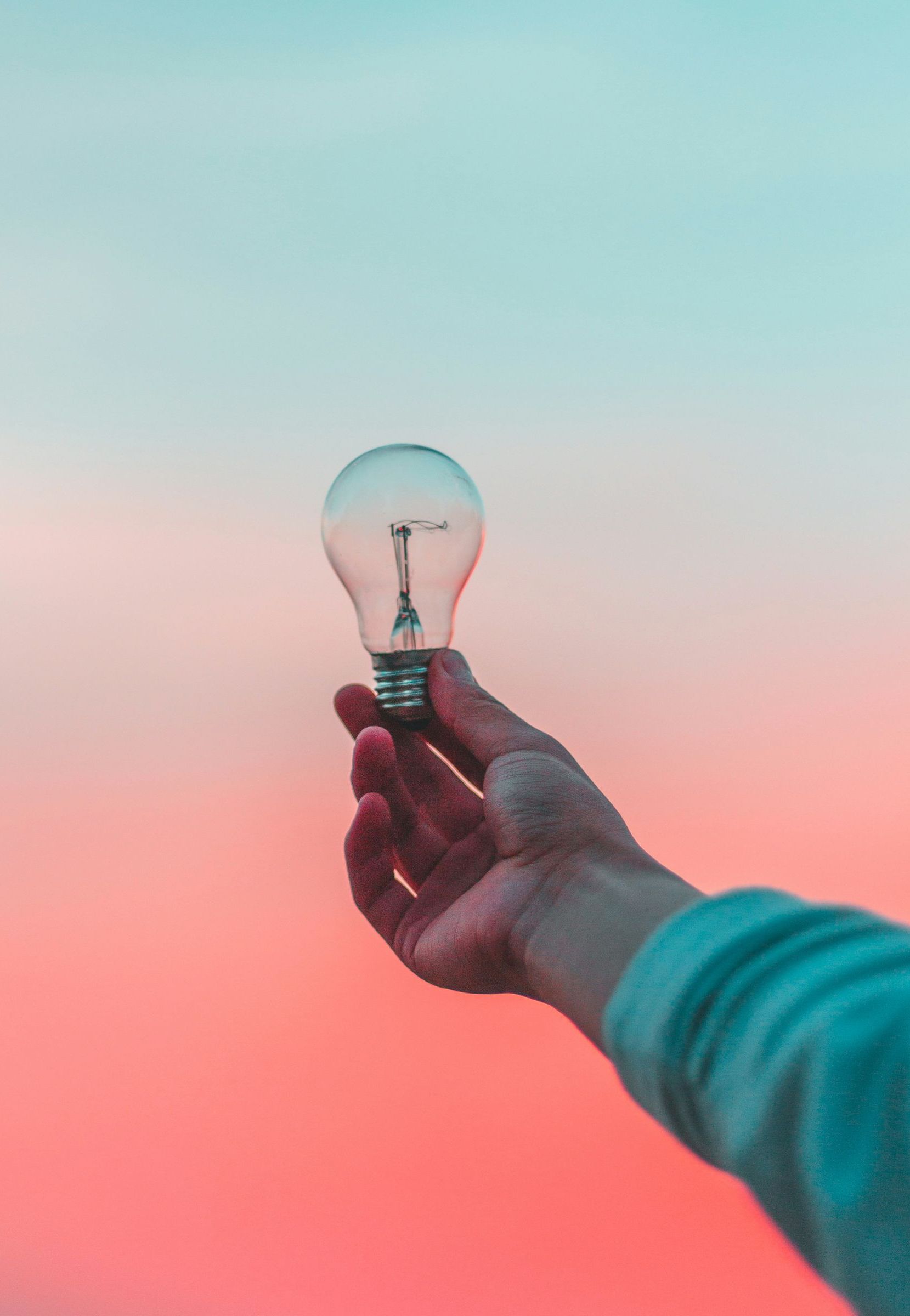 A person is holding a light bulb in their hand.