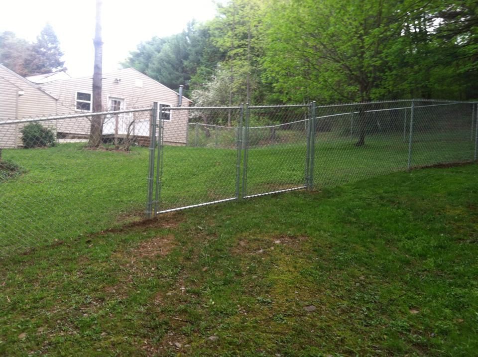 A chain link fence surrounds a lush green yard with a house in the background.