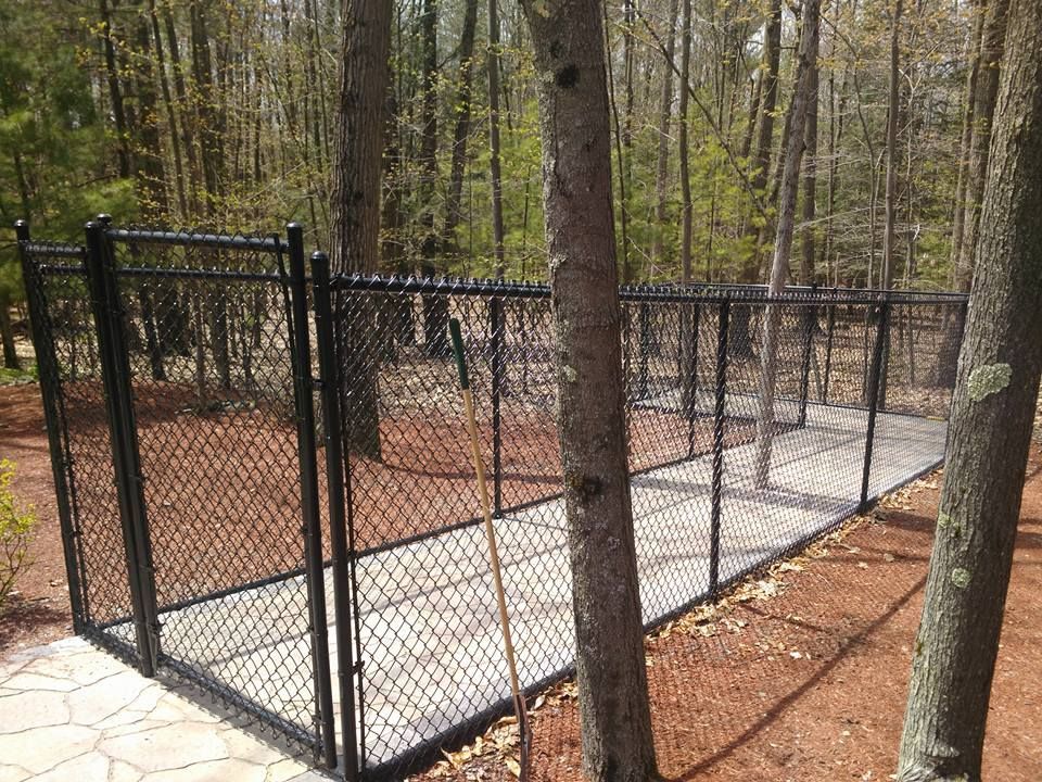 A chain link fence in the middle of a forest