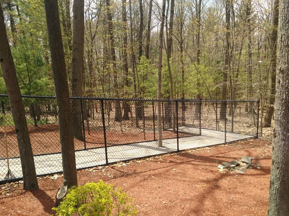 A chain link fence surrounds a tennis court in the middle of a forest.