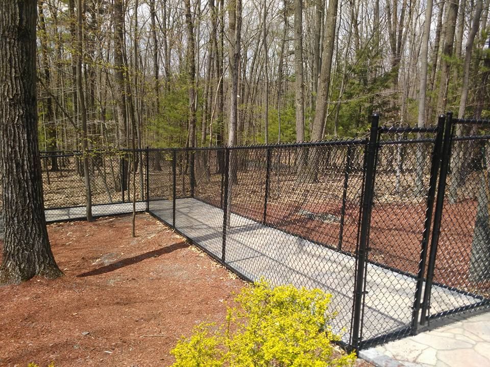 A chain link fence surrounds a walkway in the woods.