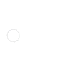 Zillow Top Agent