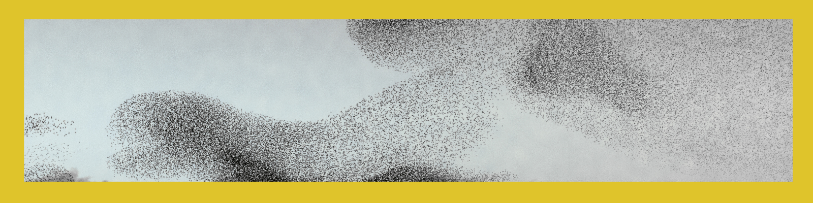 Birds flying in formation, resembling a human figure, against a cloudy sky.