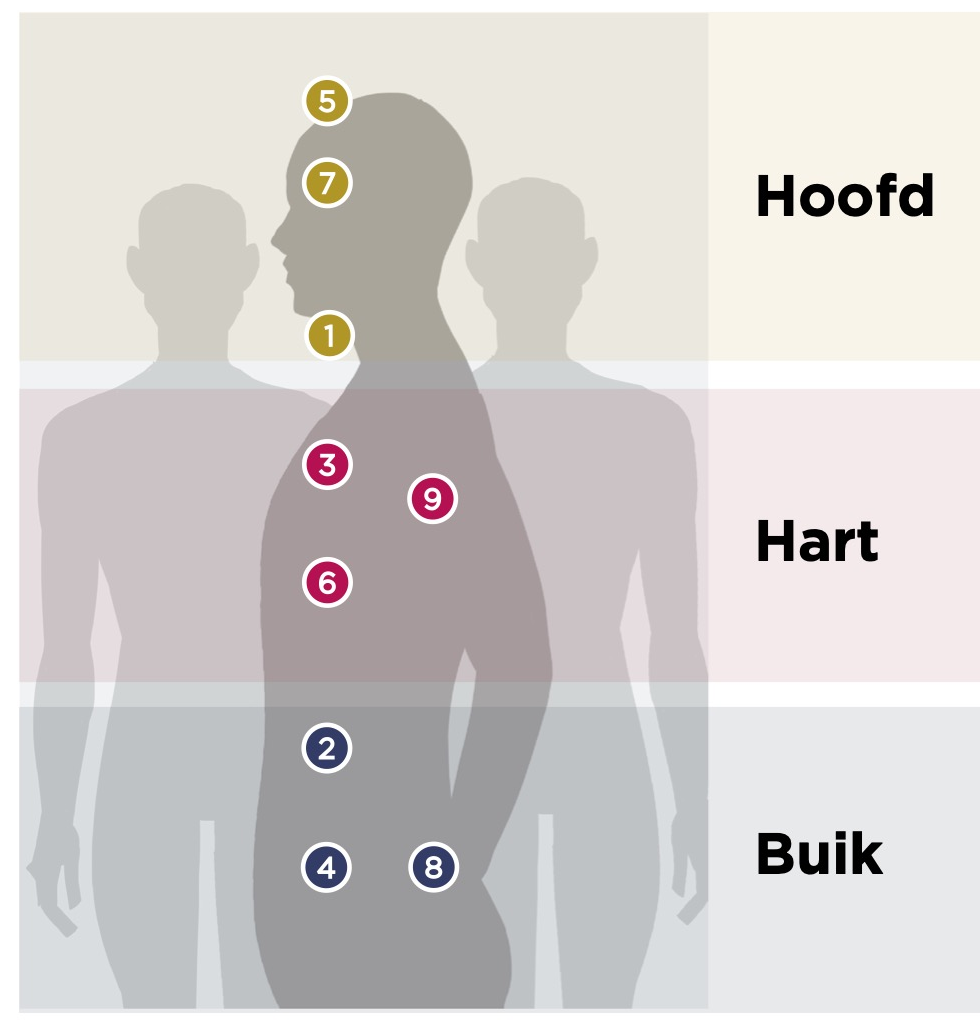 9 talenten VerticalQ verdeeld over hoofd hart en buik