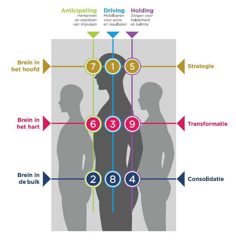 Coherence model VerticalQ
