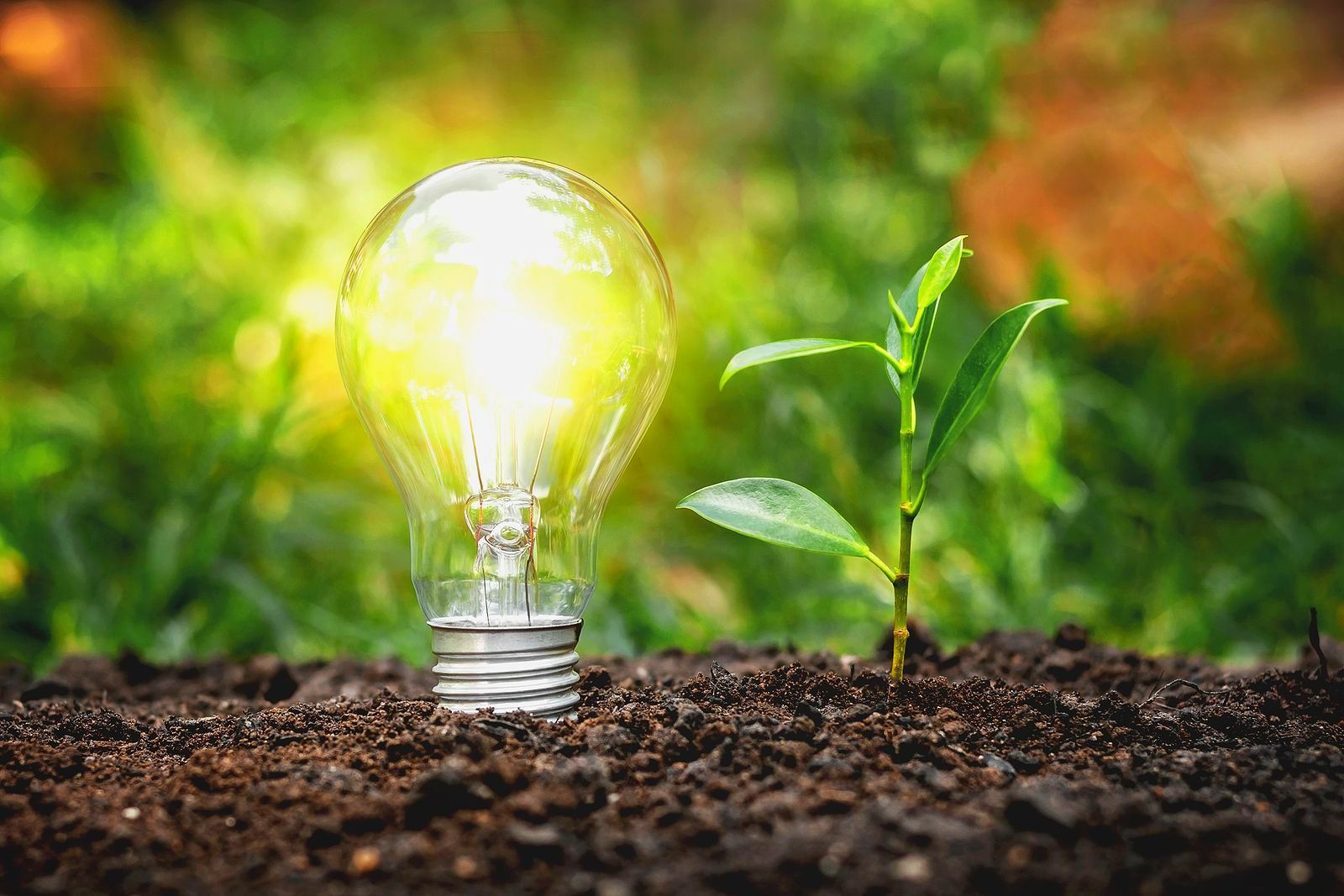 Stap 1 coaching komen tot inzicht