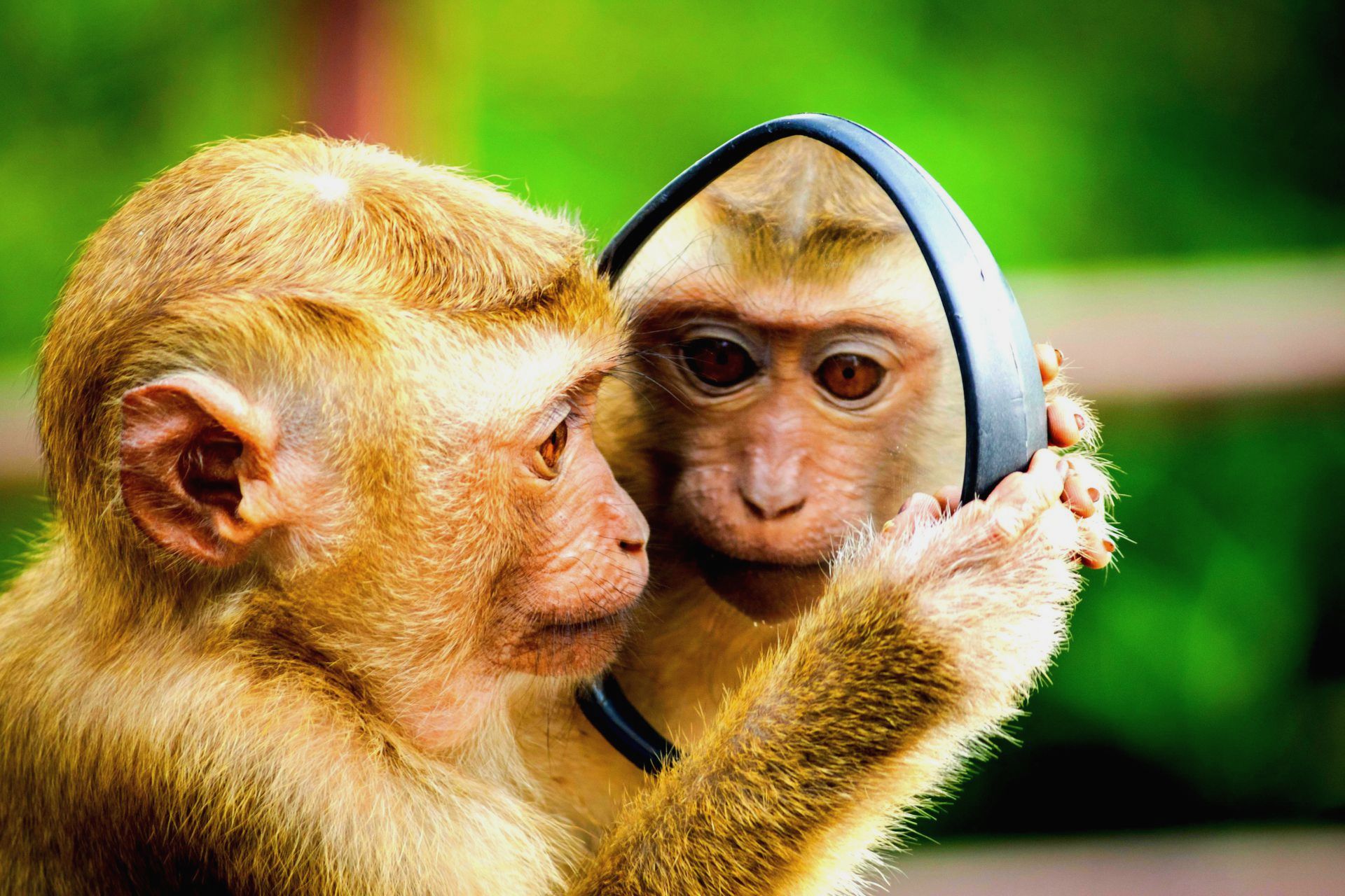 Stap 3 coaching reflectie