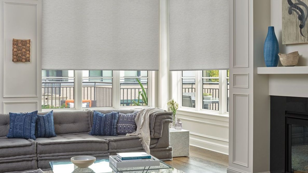 Hunter Douglas Designer Roller Shades