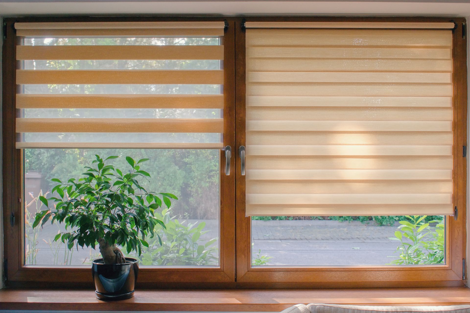 Window with two different roller blinds, one striped and one solid, wooden frame, houseplant.