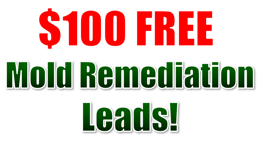 Mold Remdiation