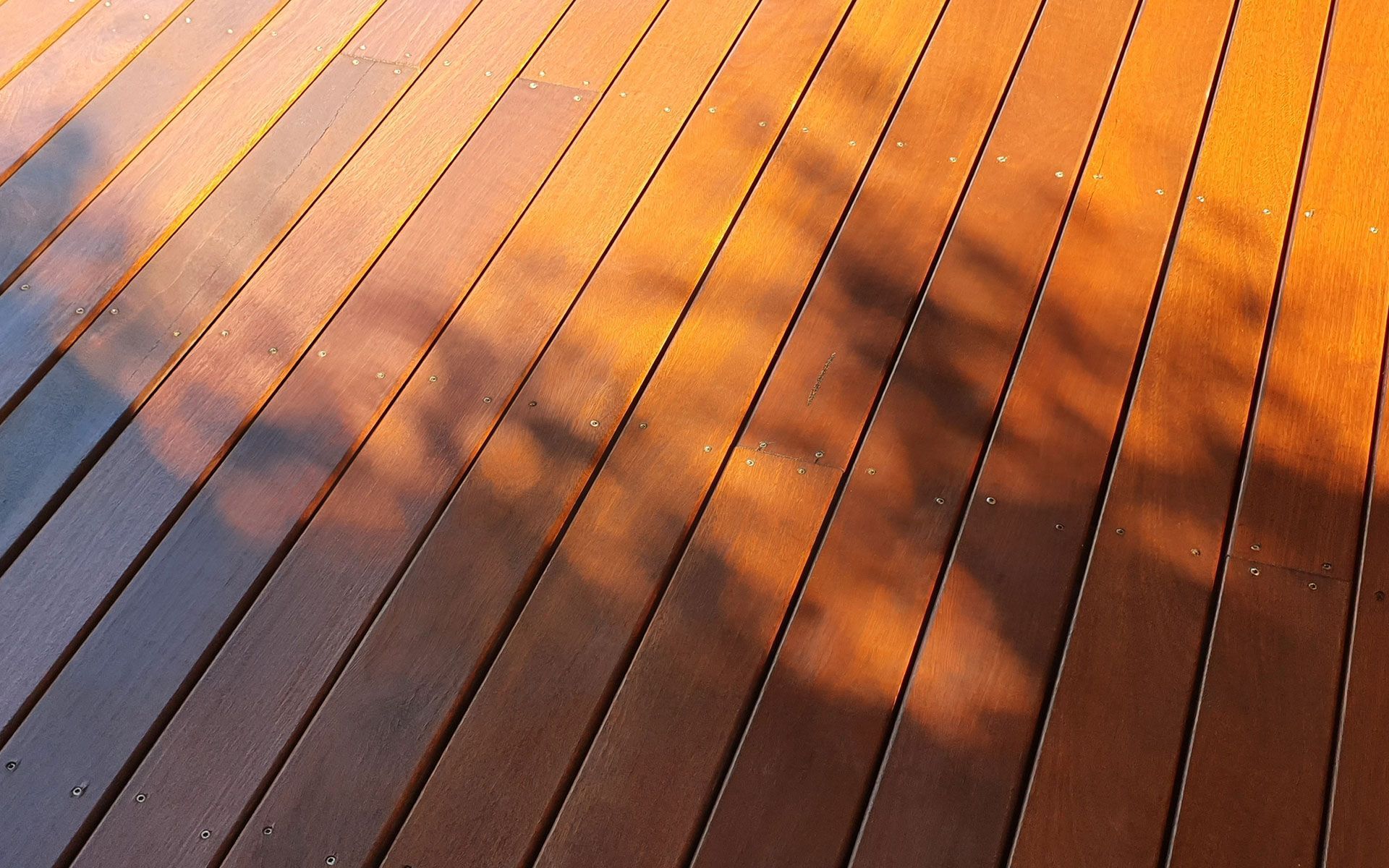 A close up of a wooden deck with a tree shadow on it
