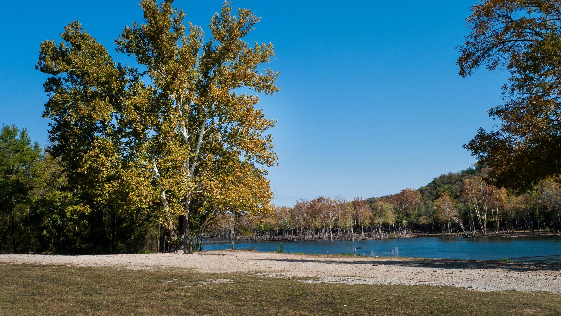 Lakeside scene: golden-leafed trees frame a blue lake under a clear, bright sky. Brown sand and green grass in foreground.