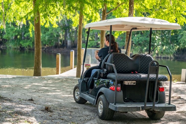 A person driving a black golf cart near a body of water, trees in the background.