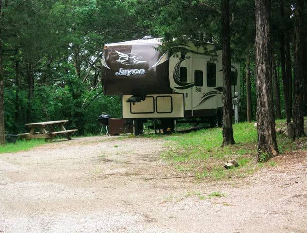 RV parked at a campsite, with picnic table and grill. Forest background.