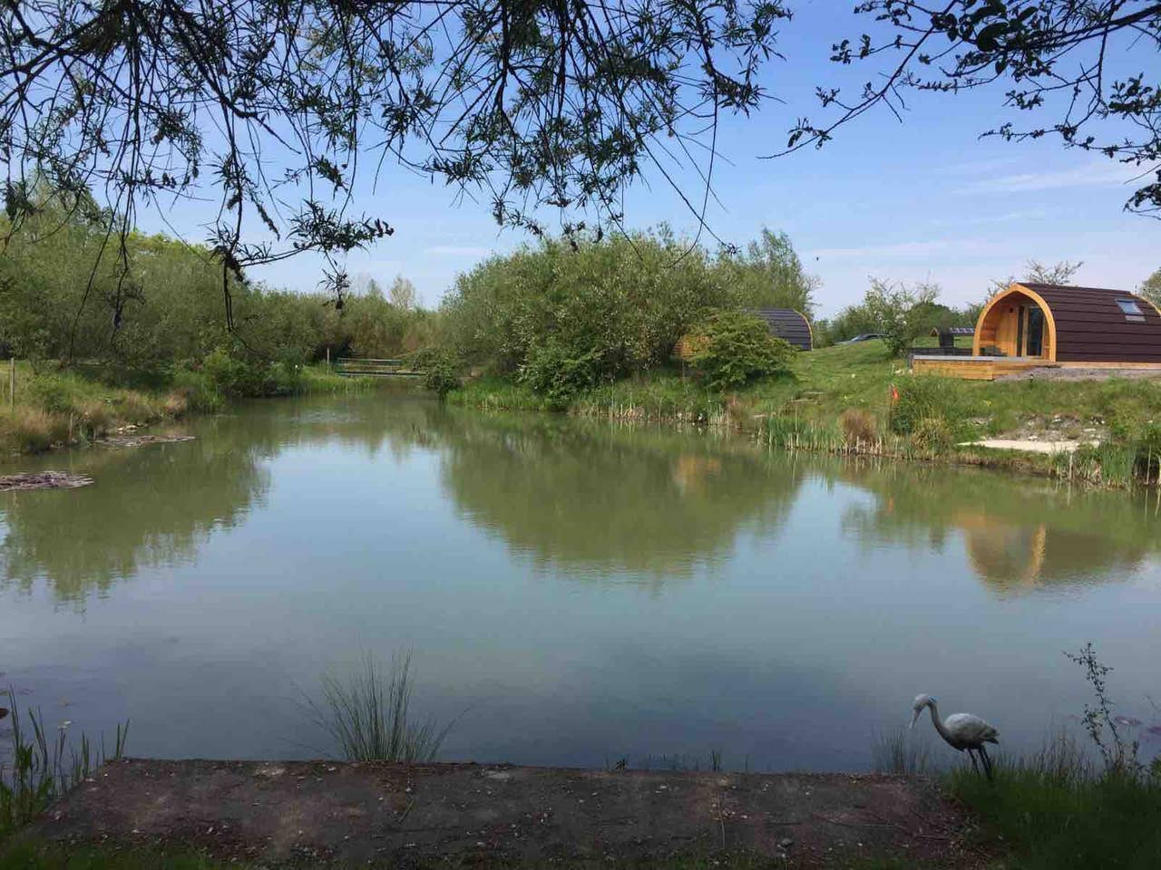 A swan is standing on the shore of a lake.