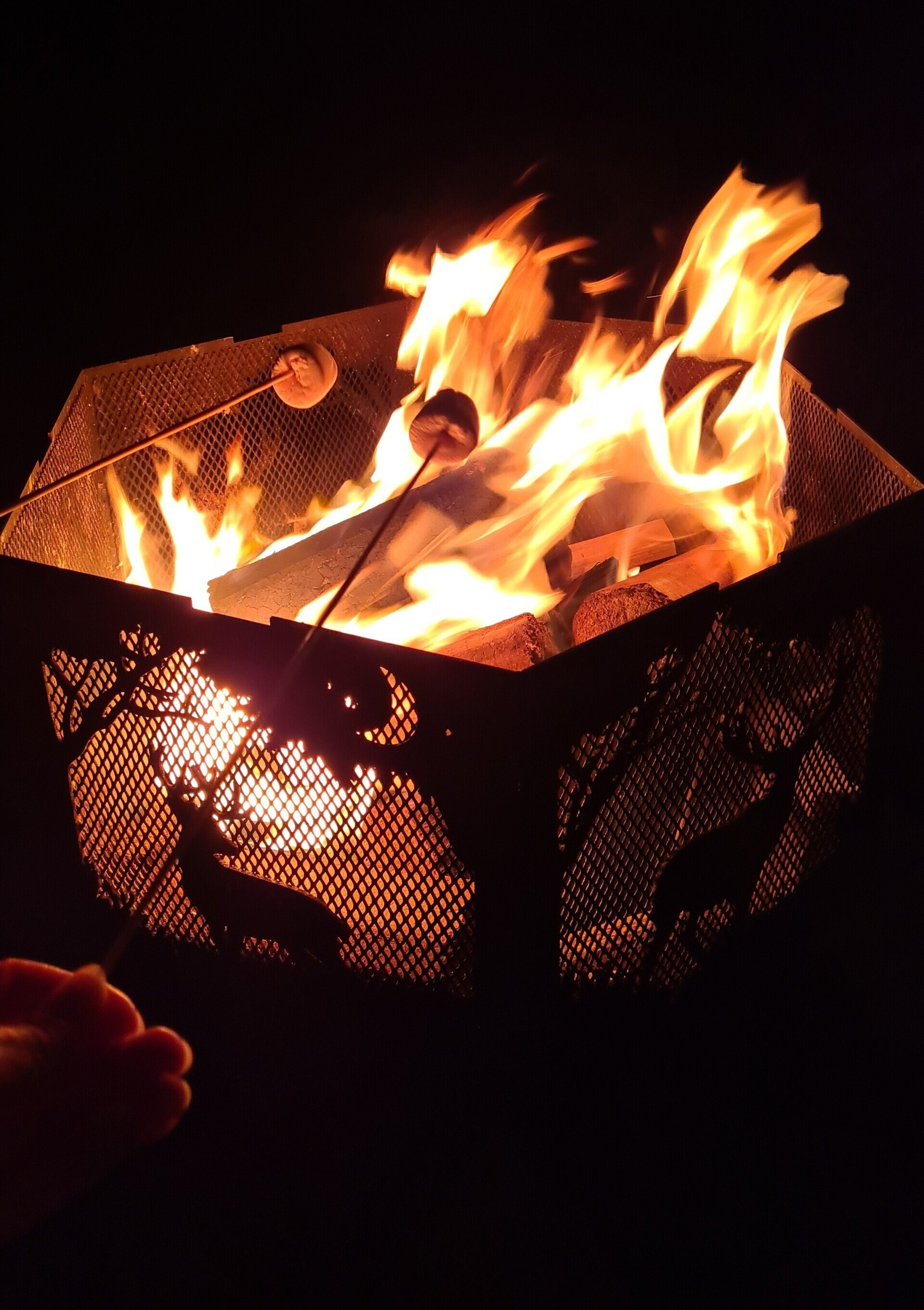 A person is roasting marshmallows over a fire pit.