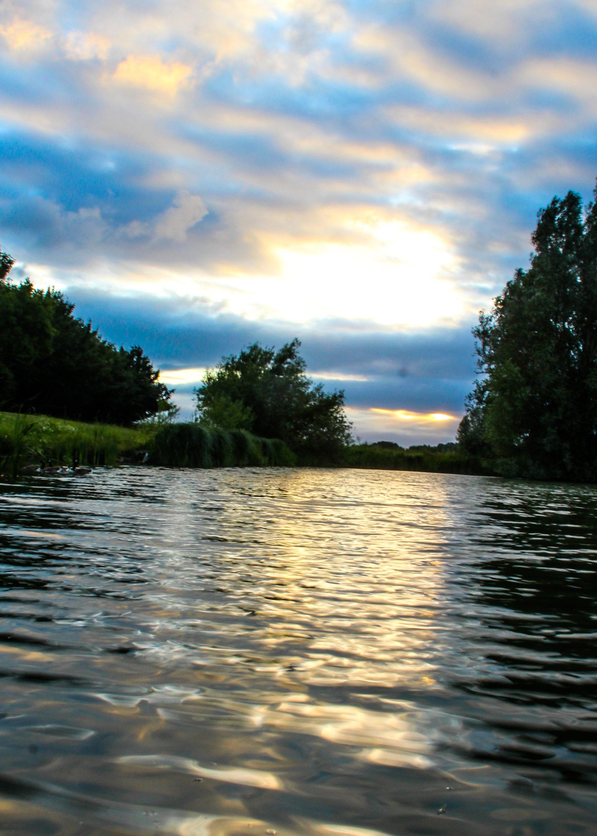 A river with trees and a cloudy sky in the background