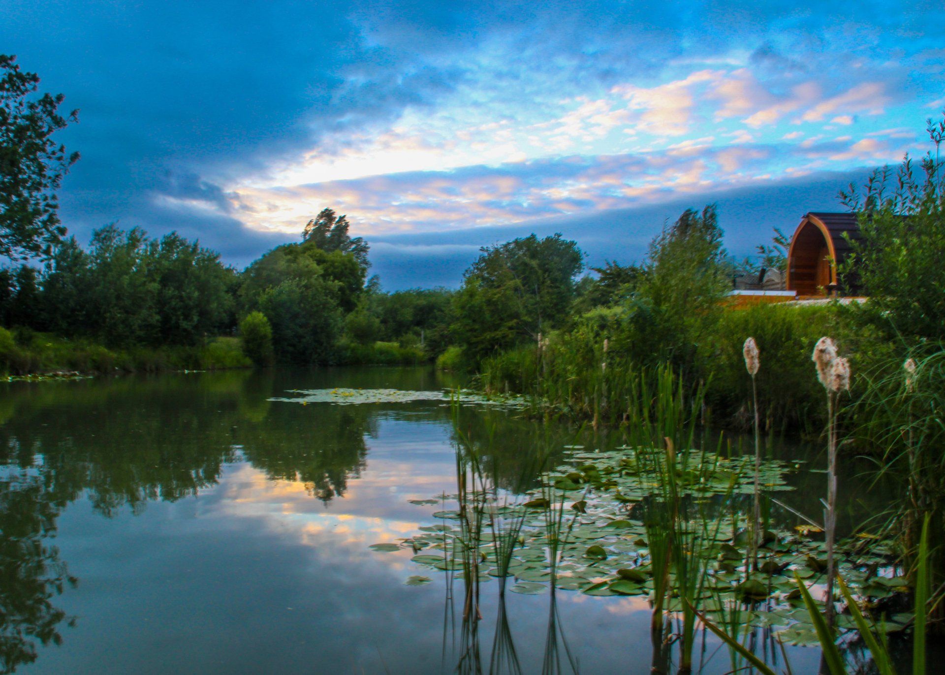 A lake surrounded by trees and shrubs with a house in the background at sunset.