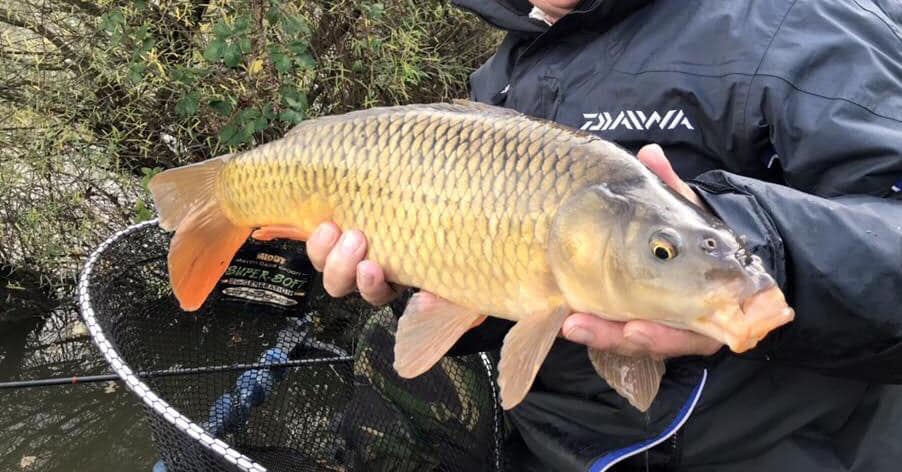 Island View Luxury Camping POD with Hot Tub | Bristol, Bath & Cotswolds