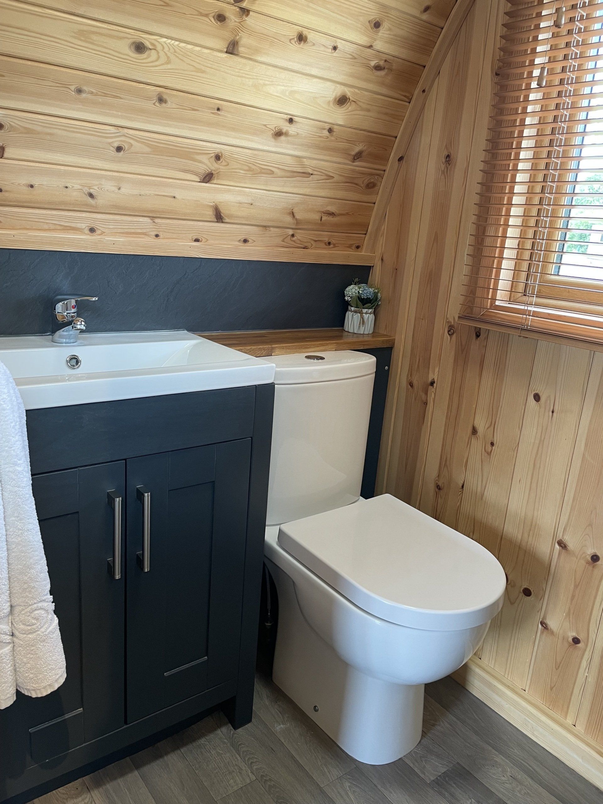 A bathroom with a toilet , sink and window.