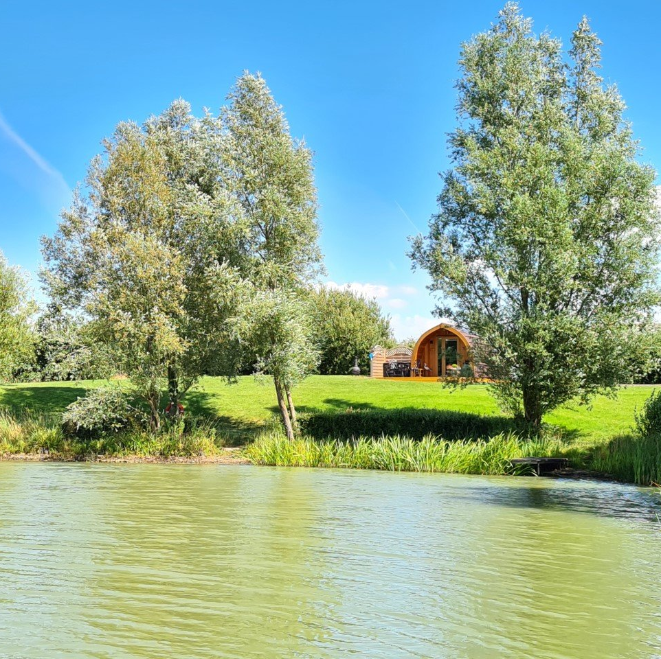 A small house is sitting on the shore of a lake surrounded by trees.