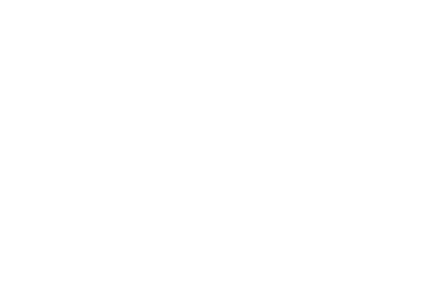 Blank white image with a thin black border at the bottom
