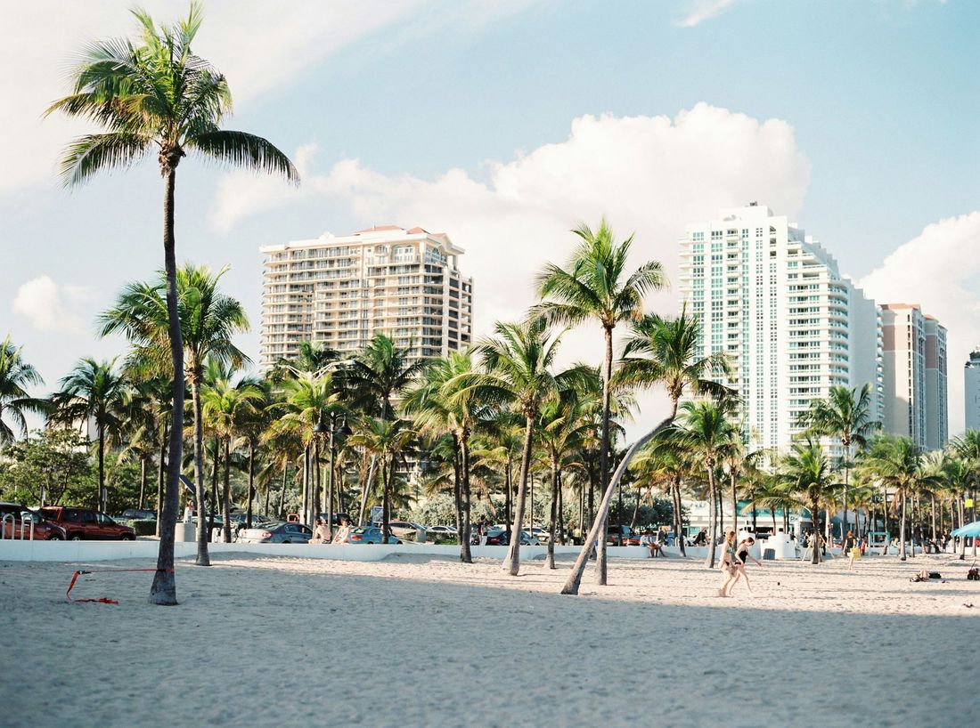 A beach with palm trees and buildings in the background