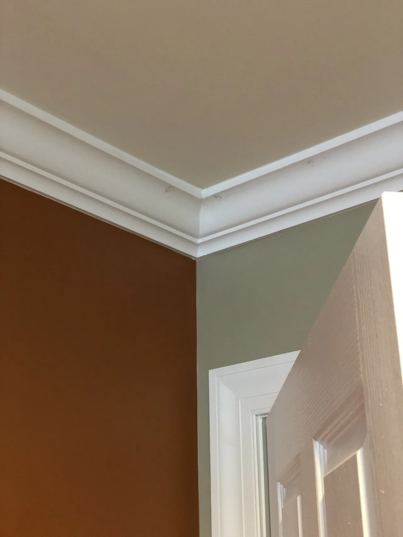 New crowning — Stroudsburg, PA — Preferred Carpentry LLC