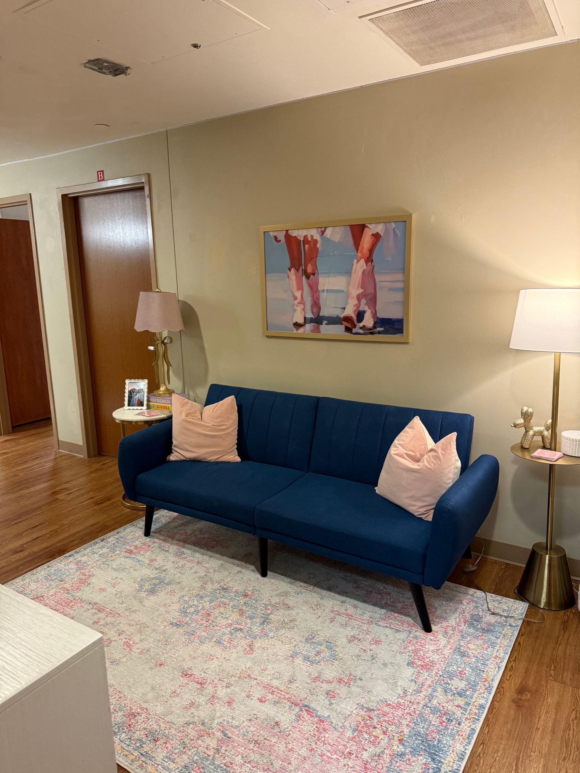 Blue couch with pink pillows, art and lamps in room with wood floors, rug.