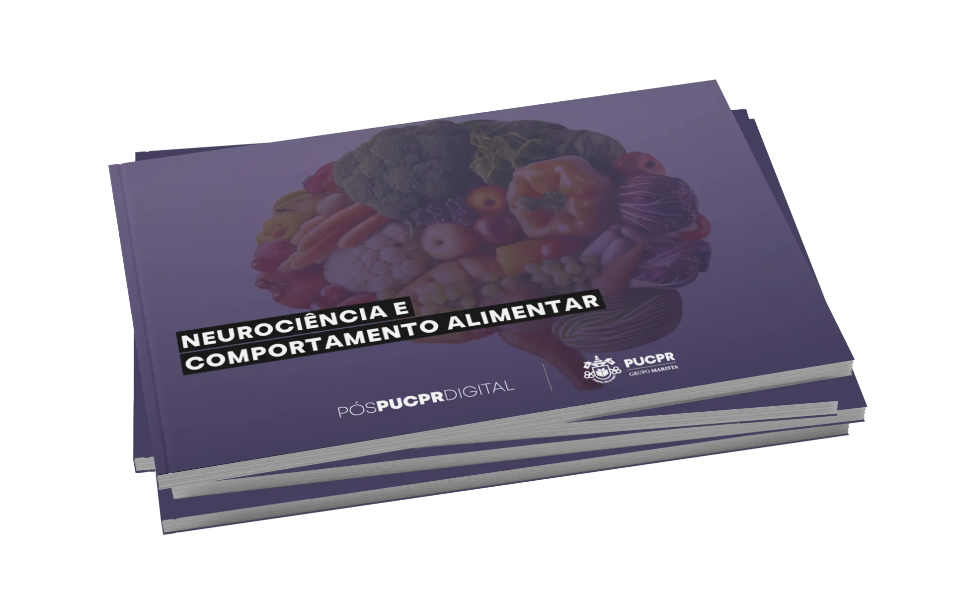 Guia do Curso