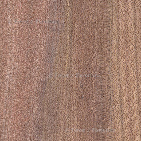 image showing grain colour and pattern of brown Elm timber