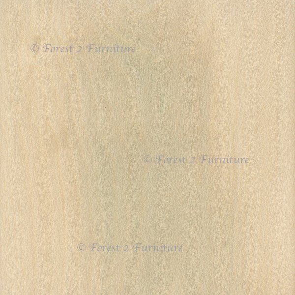 image showing grain colour and pattern of Holly timber