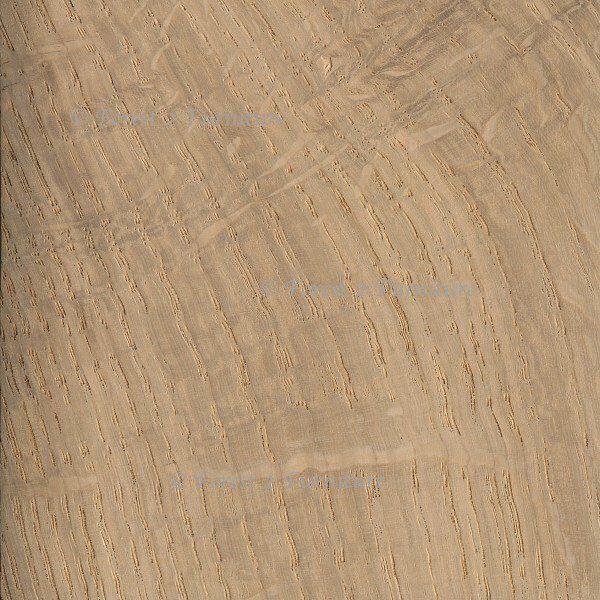 image showing grain colour and pattern of English Oak timber