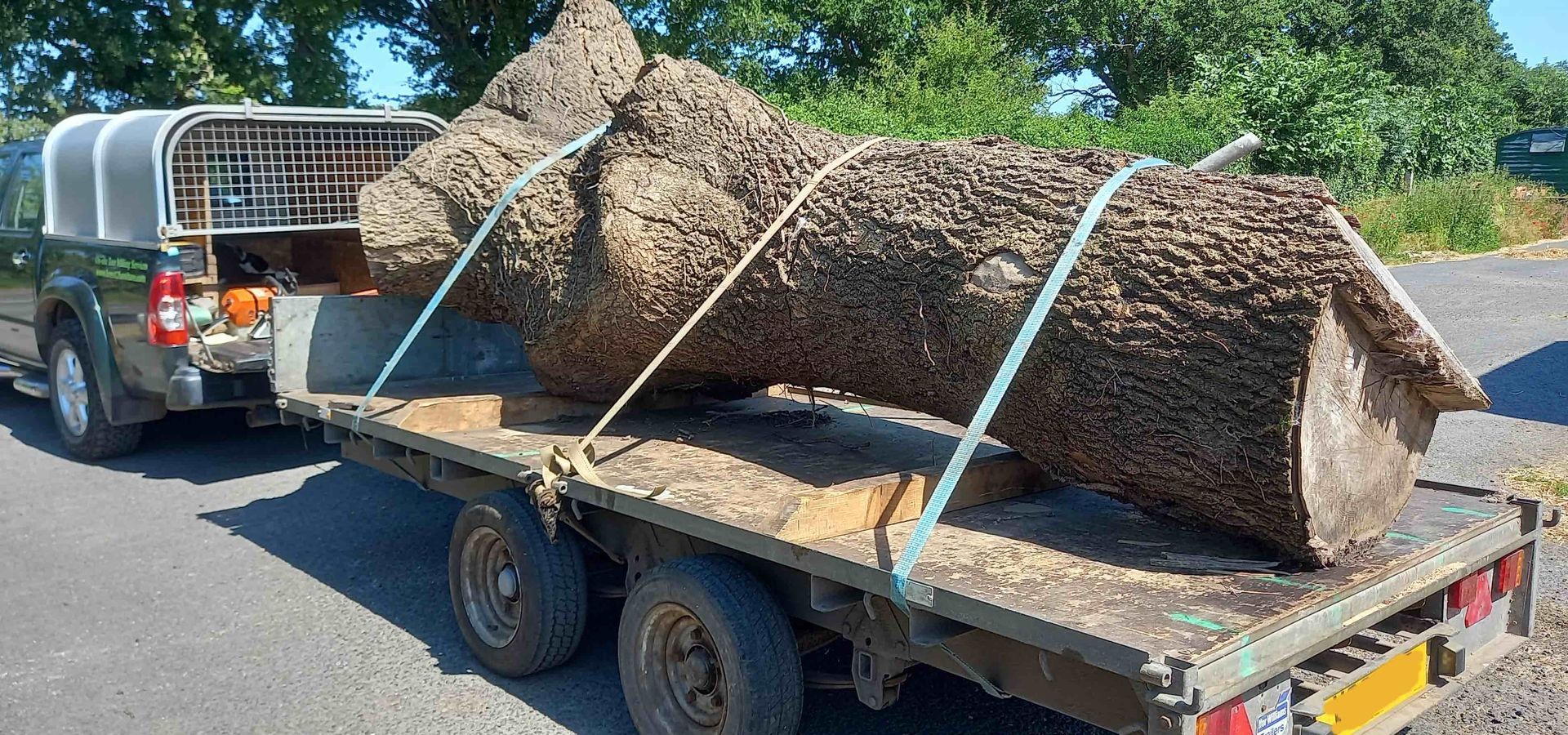 image of a large Ash trunk loaded onto the trailer to bring back to our yard for milling