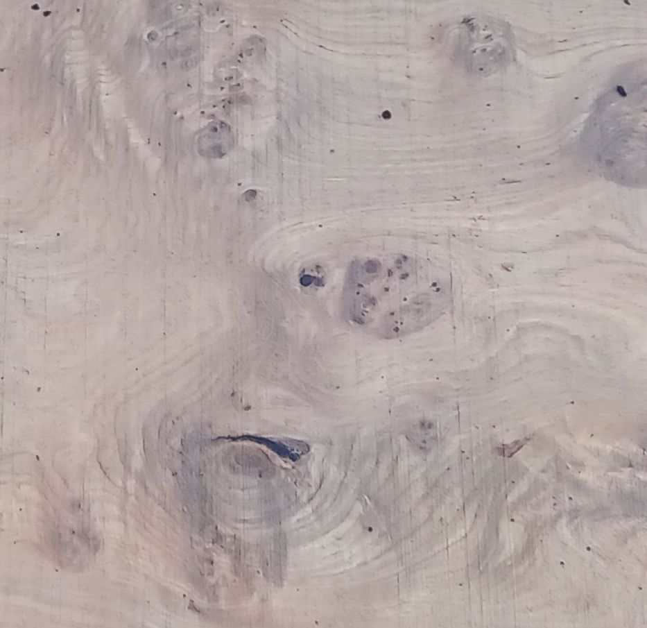 image showing grain colour and pattern of Cat's Paw Sweet Chestnut timber