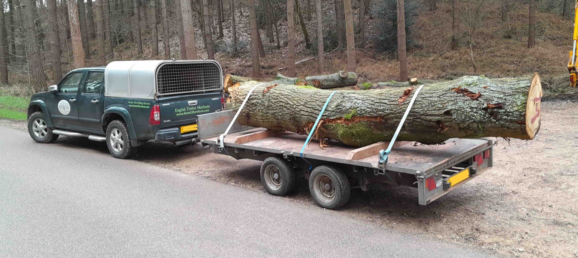 14' long oak trunk loaded on a trailer being moved from the forest to our milling site