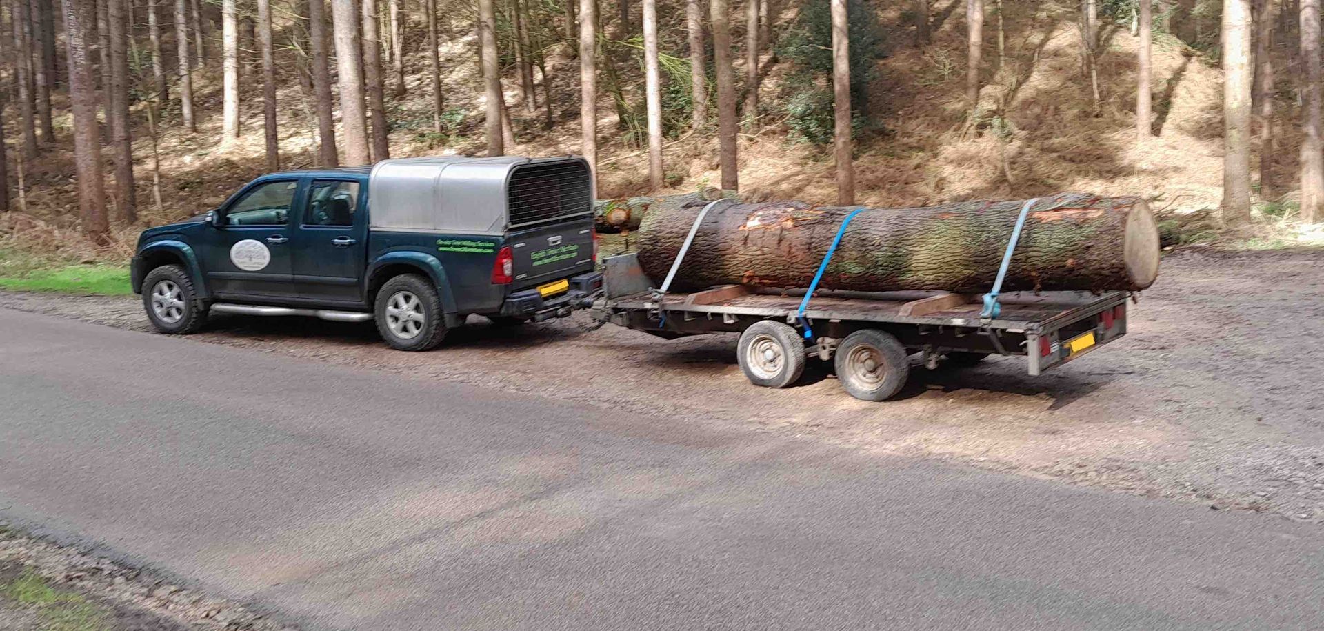 image showing two more trunk sections of the felled sweet chestnut tree loaded onto the trailer in the woodland