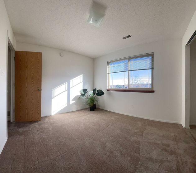 An empty room with a plant and a window